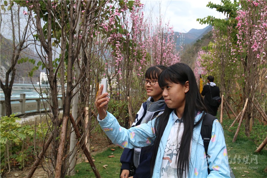 春光俏！“醉”是瀘定春三月，踏青賞花正當(dāng)時(shí)