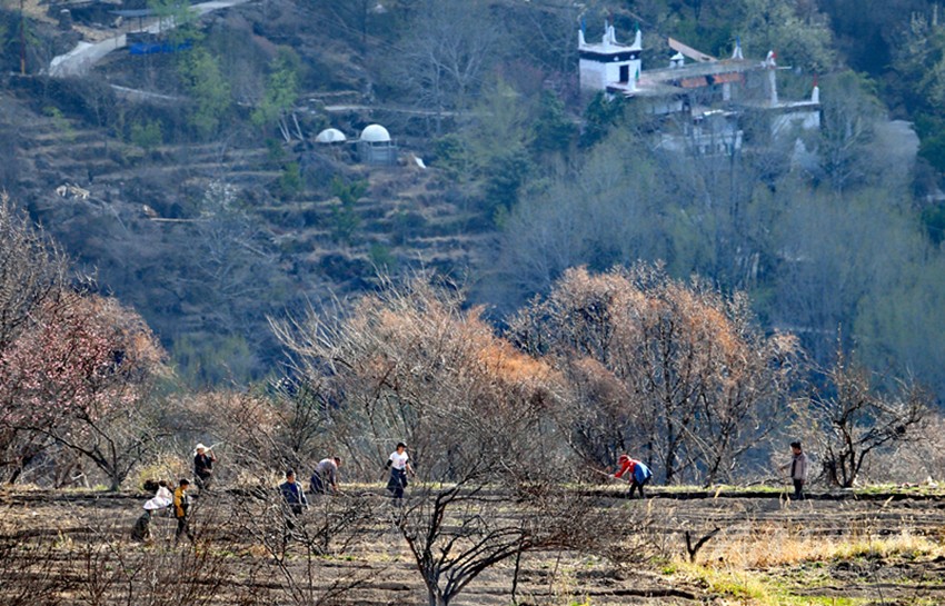 鉚足“?！眲鸥髅? onload=