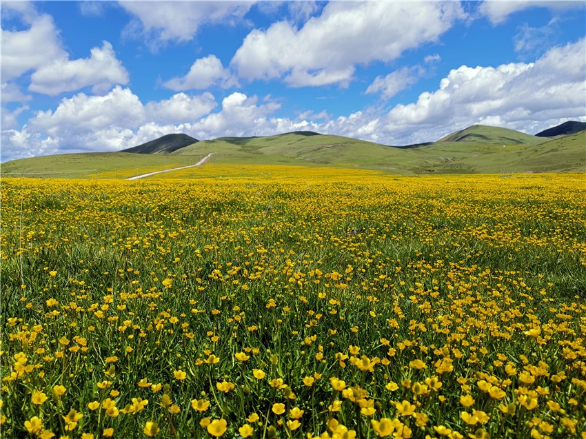 祝?；ê? 任剛.jpg