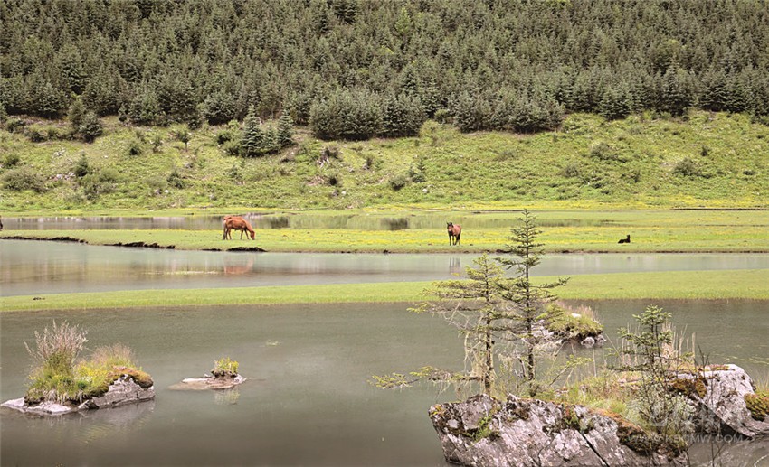 去甘孜 邂逅絕美湖泊海子！
