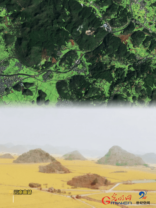 清明游玩賞花圖鑒來(lái)了！衛(wèi)星鏡頭帶你先睹為快