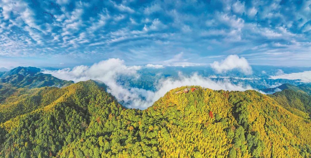 　三明森林生態(tài)環(huán)境優(yōu)美。